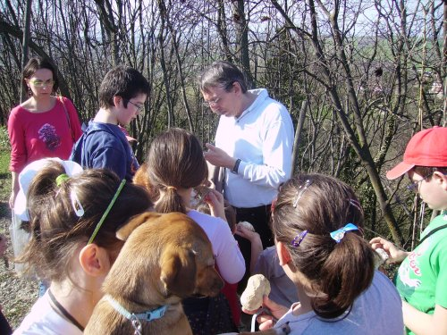 Aspettando la Primavera 2013