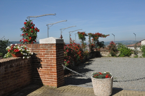 2016 - Particolari del dehor con le rose