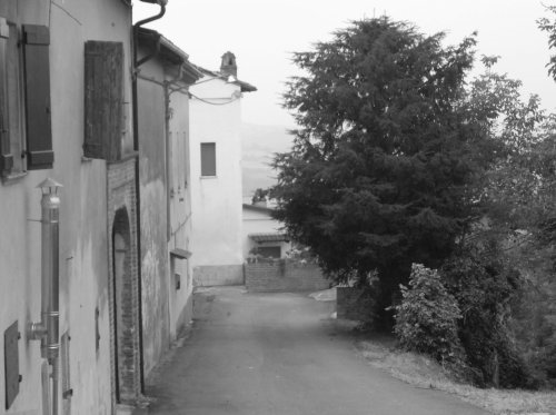 I "Carnevali"  (foto di Jonathan Bisoglio)