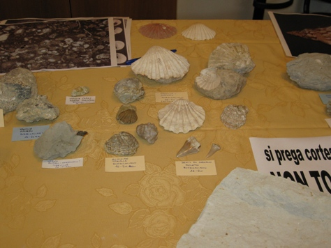 Passeggiata geologica de "La Bella Estate"