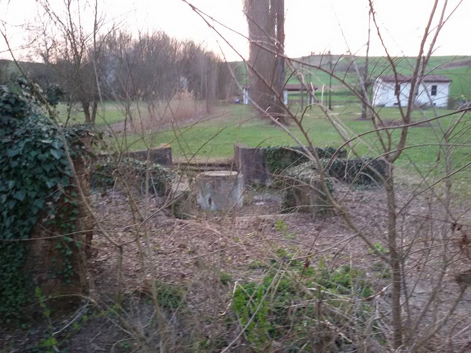 I resti della Fonte nel 2016. Ha ripreso a cendere l'acqua (A. Frixa)