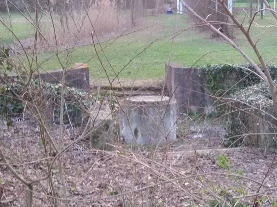 I resti della Fonte nel 2016. Ha ripreso a cendere l'acqua (A. Frixa)