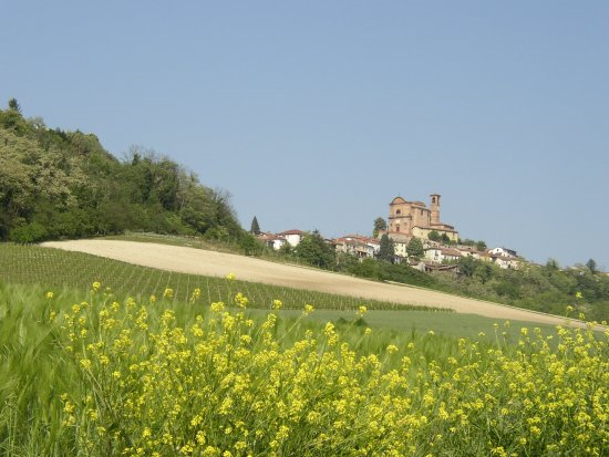 Treville dalla strada per la Fonte (Alfredo Frixa)