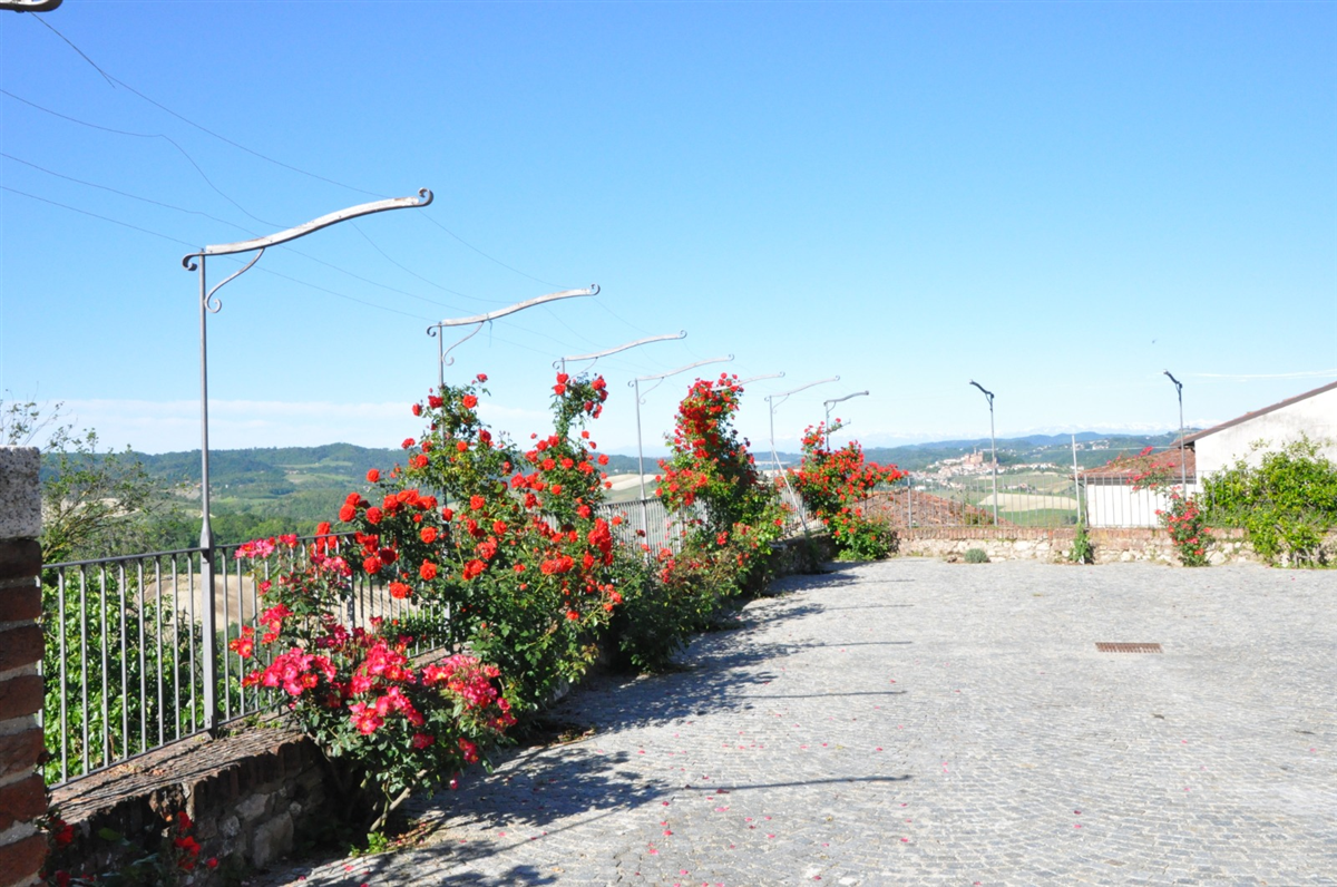Panorama dal Dehor delle Rose